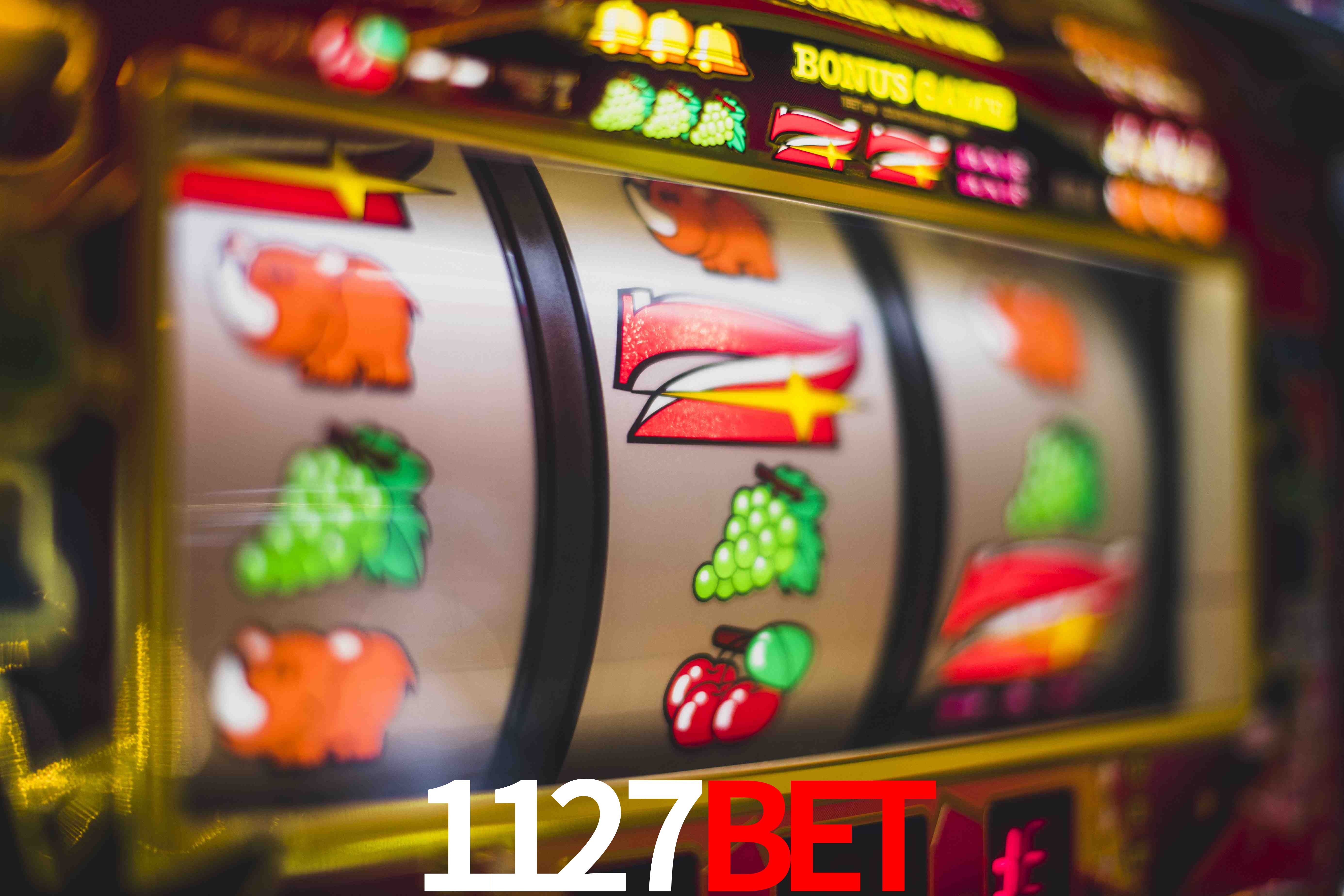 Statistics 1127bet
